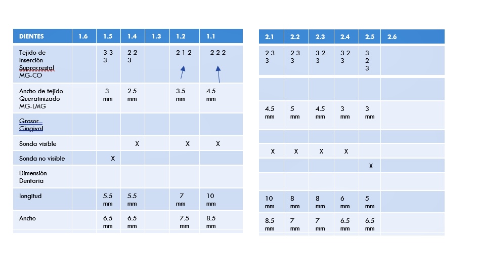 Registro Periodontal para estética dental